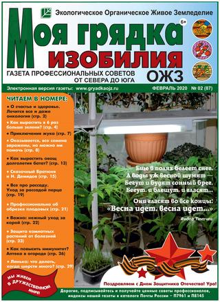 Моя грядка изобилия №2, февраль 2020 - Читать журналы и газеты онлайн бесплатно без регистрации | Печатные периодические издания на bookjurn.ru