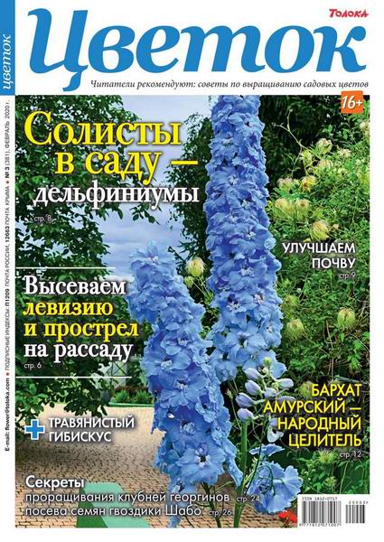 Цветок №3, февраль 2020 - Читать журналы и газеты онлайн бесплатно без регистрации | Печатные периодические издания на bookjurn.ru