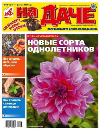 АиФ. На даче №3, февраль 2020 - Читать журналы и газеты онлайн бесплатно без регистрации | Печатные периодические издания на bookjurn.ru