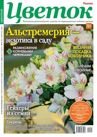 Цветок №4, февраль 2020 - Читать журналы и газеты онлайн бесплатно без регистрации | Печатные периодические издания на bookjurn.ru