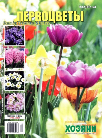 Хозяин. Дом. Сад. Огород. Спецвыпуск №10, октябрь 2019 - Читать журналы и газеты онлайн бесплатно без регистрации | Печатные периодические издания на bookjurn.ru