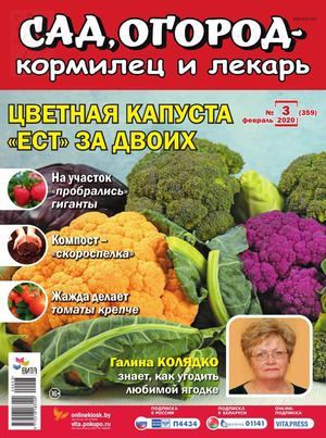 Сад, огород – кормилец и лекарь №3, февраль 2020 - Читать журналы и газеты онлайн бесплатно без регистрации | Печатные периодические издания на bookjurn.ru