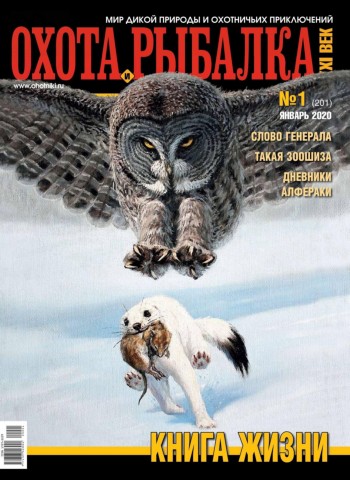 Охота и рыбалка ХХI век №1, январь 2020 - Читать журналы и газеты онлайн бесплатно без регистрации | Печатные периодические издания на bookjurn.ru