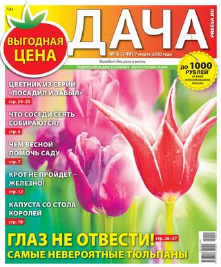 Дача №5, март 2020 - Читать журналы и газеты онлайн бесплатно без регистрации | Печатные периодические издания на bookjurn.ru