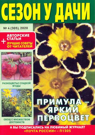 Сезон у дачи №4, февраль 2020 - Читать журналы и газеты онлайн бесплатно без регистрации | Печатные периодические издания на bookjurn.ru