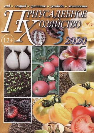 Приусадебное хозяйство №3, март 2020 - Читать журналы и газеты онлайн бесплатно без регистрации | Печатные периодические издания на bookjurn.ru