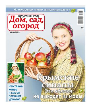 Круглый год: Дом, сад, огород №2, 2020 - Читать журналы и газеты онлайн бесплатно без регистрации | Печатные периодические издания на bookjurn.ru