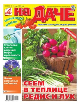 АиФ. На даче №5, март 2020 - Читать журналы и газеты онлайн бесплатно без регистрации | Печатные периодические издания на bookjurn.ru