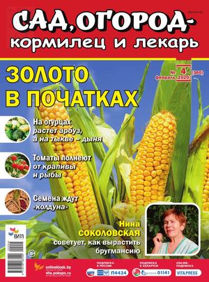 Сад, огород – кормилец и лекарь №4, февраль 2020 - Читать журналы и газеты онлайн бесплатно без регистрации | Печатные периодические издания на bookjurn.ru