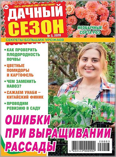 Дачный сезон №3, март 2020 - Читать журналы и газеты онлайн бесплатно без регистрации | Печатные периодические издания на bookjurn.ru