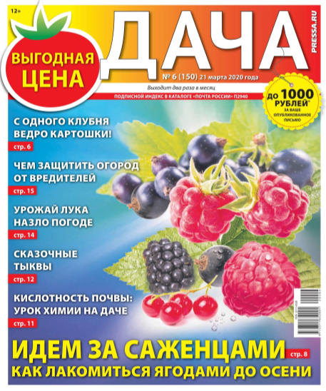 Дача №6, март 2020 - Читать журналы и газеты онлайн бесплатно без регистрации | Печатные периодические издания на bookjurn.ru
