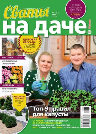 Сваты. На даче №3, март 2020 - Читать журналы и газеты онлайн бесплатно без регистрации | Печатные периодические издания на bookjurn.ru