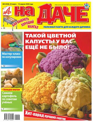 АиФ. На даче №6, март - апрель 2020 - Читать журналы и газеты онлайн бесплатно без регистрации | Печатные периодические издания на bookjurn.ru