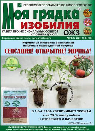 Моя грядка изобилия №4, апрель 2020 - Читать журналы и газеты онлайн бесплатно без регистрации | Печатные периодические издания на bookjurn.ru