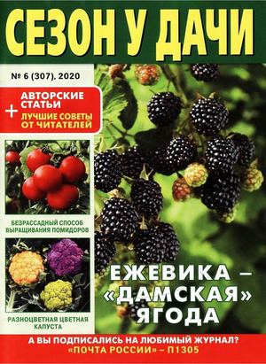 Сезон у дачи №6, март 2020 - Читать журналы и газеты онлайн бесплатно без регистрации | Печатные периодические издания на bookjurn.ru