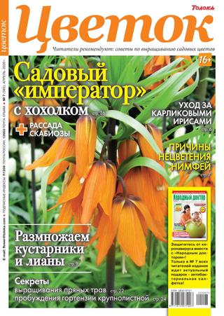 Цветок №7, апрель 2020 - Читать журналы и газеты онлайн бесплатно без регистрации | Печатные периодические издания на bookjurn.ru