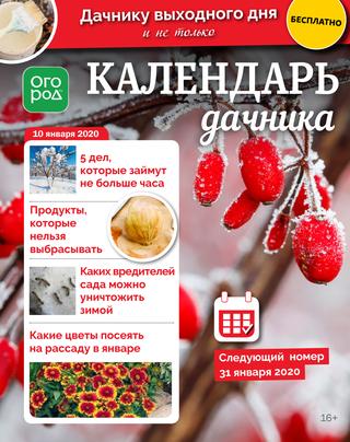 Огород Ру. Календарь дачника №1-8, январь - апрель 2020 - Читать журналы и газеты онлайн бесплатно без регистрации | Печатные периодические издания на bookjurn.ru