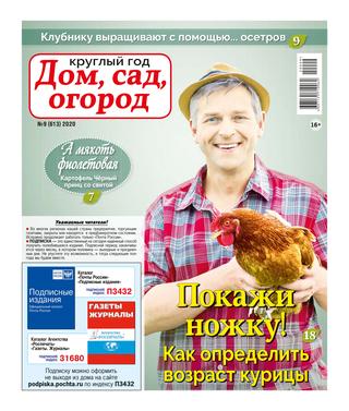 Круглый год: Дом, сад, огород №9, 2020 - Читать журналы и газеты онлайн бесплатно без регистрации | Печатные периодические издания на bookjurn.ru