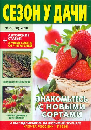 Сезон у дачи №7, апрель 2020 - Читать журналы и газеты онлайн бесплатно без регистрации | Печатные периодические издания на bookjurn.ru