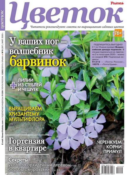 Цветок №9, май 2020 - Читать журналы и газеты онлайн бесплатно без регистрации | Печатные периодические издания на bookjurn.ru