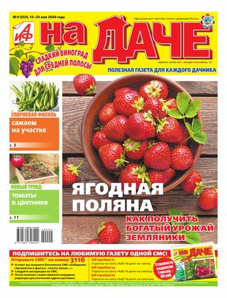 АиФ. На даче №9, май 2020 - Читать журналы и газеты онлайн бесплатно без регистрации | Печатные периодические издания на bookjurn.ru