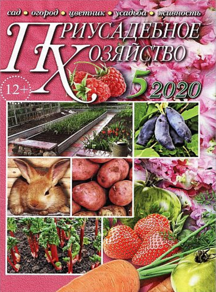 Приусадебное хозяйство №5, май 2020 - Читать журналы и газеты онлайн бесплатно без регистрации | Печатные периодические издания на bookjurn.ru