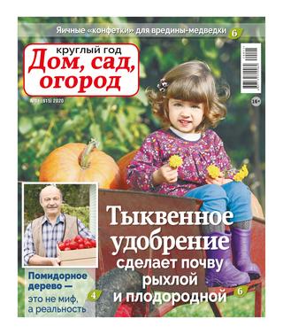 Круглый год: Дом, сад, огород №11, 2020 - Читать журналы и газеты онлайн бесплатно без регистрации | Печатные периодические издания на bookjurn.ru