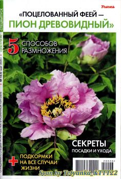 Цветок. Спецвыпуск №10, май 2020 - Читать журналы и газеты онлайн бесплатно без регистрации | Печатные периодические издания на bookjurn.ru