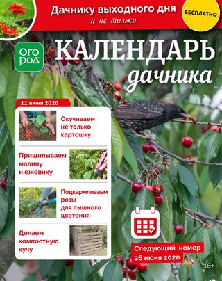 Огород Ру. Календарь дачника №12, июнь 2020 - Читать журналы и газеты онлайн бесплатно без регистрации | Печатные периодические издания на bookjurn.ru