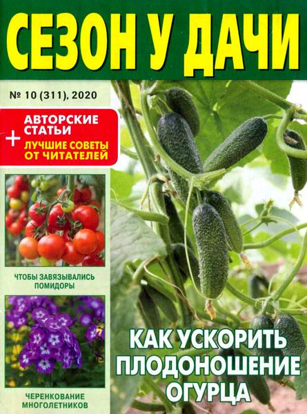 Сезон у дачи №10, май 2020 - Читать журналы и газеты онлайн бесплатно без регистрации | Печатные периодические издания на bookjurn.ru