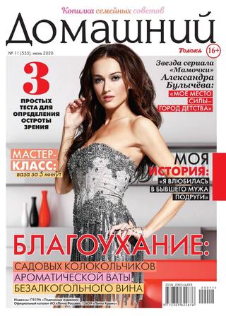 Домашний №11, июнь 2020 - Читать журналы и газеты онлайн бесплатно без регистрации | Печатные периодические издания на bookjurn.ru