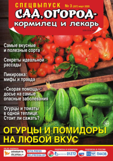Сад, огород – кормилец и лекарь. Спецвыпуск №3, март 2020 - Читать журналы и газеты онлайн бесплатно без регистрации | Печатные периодические издания на bookjurn.ru