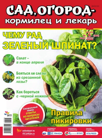 Сад, огород – кормилец и лекарь №6, март 2020 - Читать журналы и газеты онлайн бесплатно без регистрации | Печатные периодические издания на bookjurn.ru