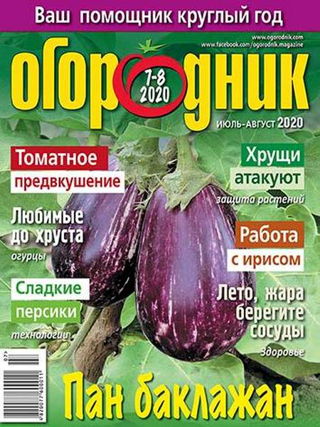 Огородник №7-8, июль - август 2020 - Читать журналы и газеты онлайн бесплатно без регистрации | Печатные периодические издания на bookjurn.ru