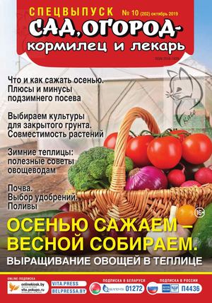 Сад, огород – кормилец и лекарь. Спецвыпуск №10, октябрь 2019 - Читать журналы и газеты онлайн бесплатно без регистрации | Печатные периодические издания на bookjurn.ru