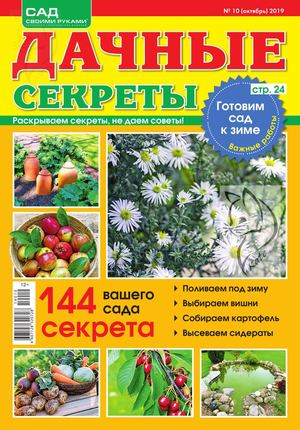 Дачные секреты №10, октябрь 2019 - Читать журналы и газеты онлайн бесплатно без регистрации | Печатные периодические издания на bookjurn.ru