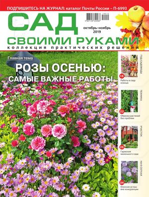 Сад своими руками №10-11, октябрь - ноябрь 2019 - Читать журналы и газеты онлайн бесплатно без регистрации | Печатные периодические издания на bookjurn.ru