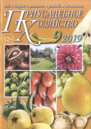 Приусадебное хозяйство №9, сентябрь 2019 - Читать журналы и газеты онлайн бесплатно без регистрации | Печатные периодические издания на bookjurn.ru