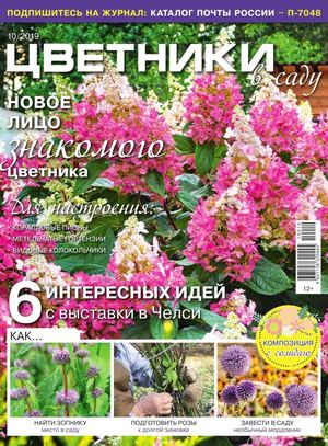 Цветники в саду №10, октябрь 2019 - Читать журналы и газеты онлайн бесплатно без регистрации | Печатные периодические издания на bookjurn.ru