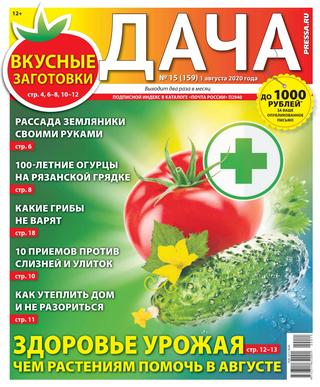 Дача №15, август 2020 - Читать журналы и газеты онлайн бесплатно без регистрации | Печатные периодические издания на bookjurn.ru