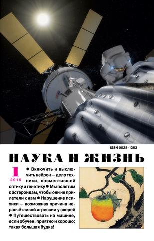 Наука и жизнь №1, январь 2015 - Читать журналы и газеты онлайн бесплатно без регистрации | Печатные периодические издания на bookjurn.ru