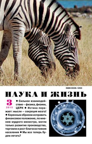 Наука и жизнь №3, март 2015 - Читать журналы и газеты онлайн бесплатно без регистрации | Печатные периодические издания на bookjurn.ru
