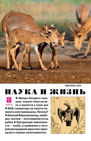 Наука и жизнь №8, август 2015 - Читать журналы и газеты онлайн бесплатно без регистрации | Печатные периодические издания на bookjurn.ru