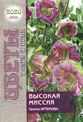 Цветы в саду и дома №6, июнь 2020 - Читать журналы и газеты онлайн бесплатно без регистрации | Печатные периодические издания на bookjurn.ru
