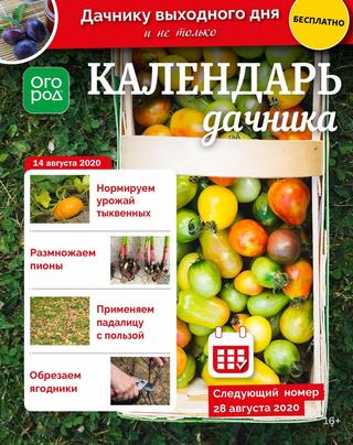 Календарь дачника №16, август 2020 - Читать журналы и газеты онлайн бесплатно без регистрации | Печатные периодические издания на bookjurn.ru