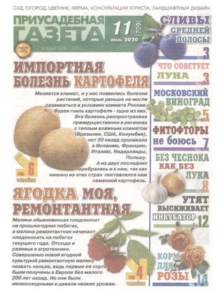 Приусадебная газета №11, июнь 2020 - Читать журналы и газеты онлайн бесплатно без регистрации | Печатные периодические издания на bookjurn.ru