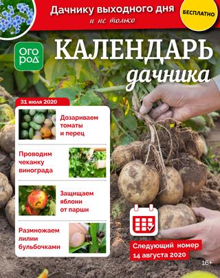 Огород Ру. Календарь дачника №15, июль 2020 - Читать журналы и газеты онлайн бесплатно без регистрации | Печатные периодические издания на bookjurn.ru