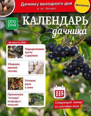 Календарь дачника №17 2020 - Читать журналы и газеты онлайн бесплатно без регистрации | Печатные периодические издания на bookjurn.ru