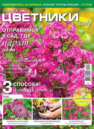 Цветники в саду №9, сентябрь 2019 - Читать журналы и газеты онлайн бесплатно без регистрации | Печатные периодические издания на bookjurn.ru