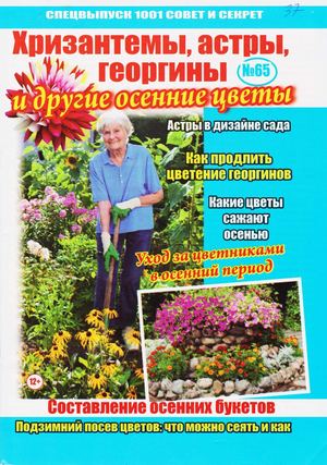 1001 совет и секрет. Спецвыпуск №65, 2019 - Читать журналы и газеты онлайн бесплатно без регистрации | Печатные периодические издания на bookjurn.ru